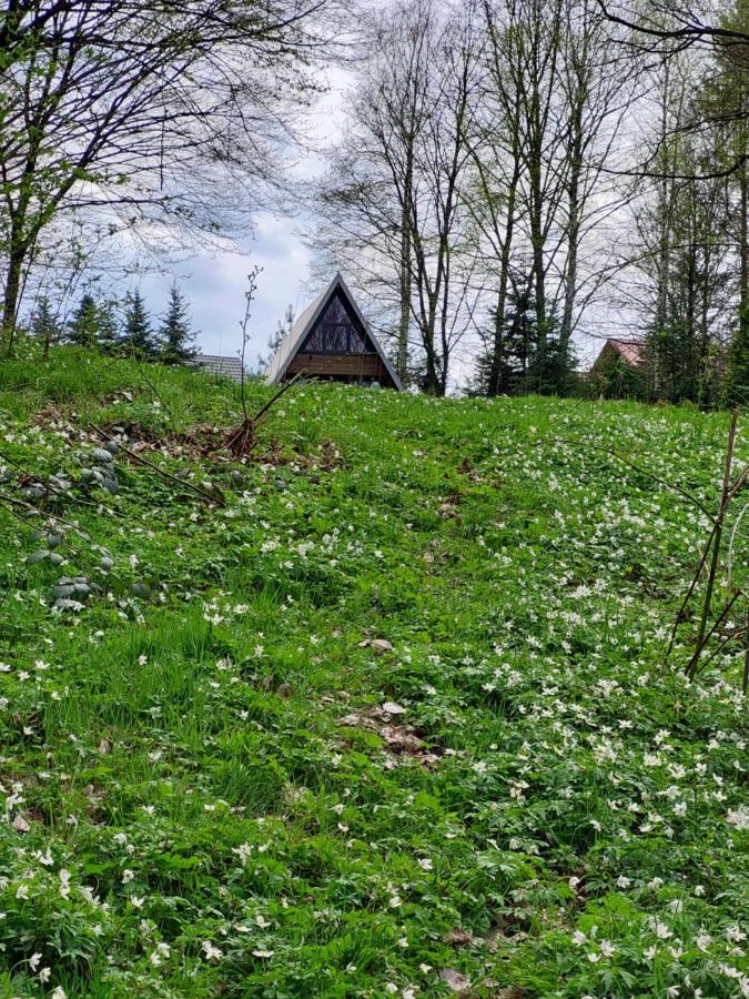 U Hanki Żywiec Buitenkant foto
